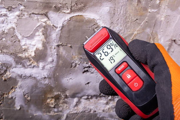 Office Mold Removal Services in Notasulga, AL