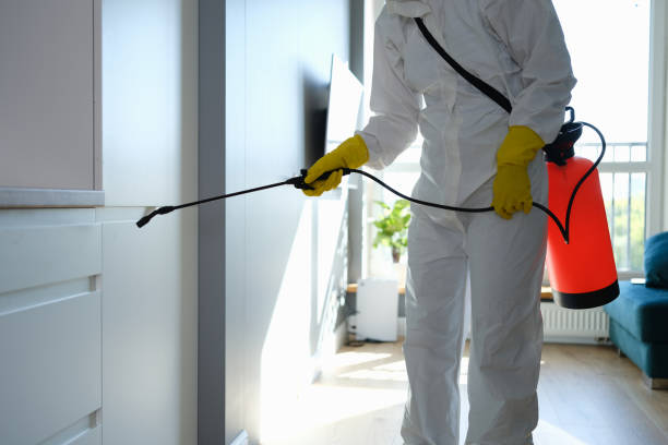 Best Mold Damage Repair  in Notasulga, AL