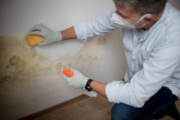 Best Water Damage Restoration  in Notasulga, AL